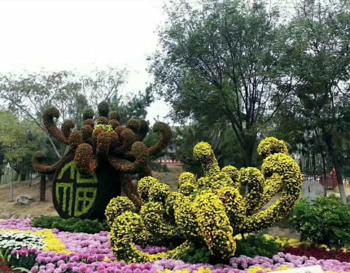 菊花展制作7步流程