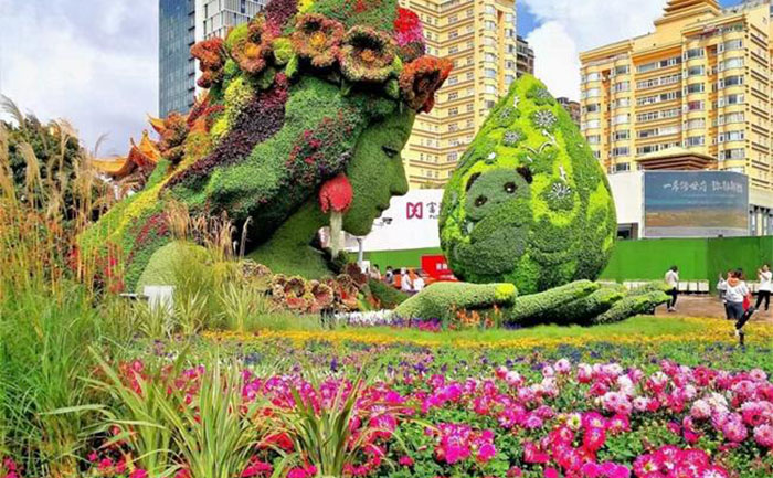 植物绿雕批发