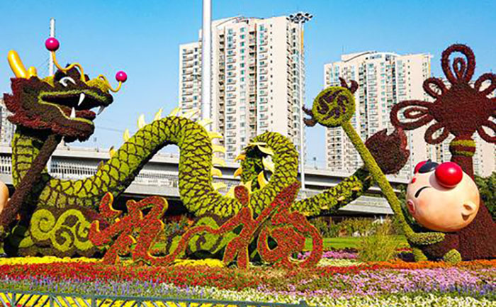 五色草造型源头工厂